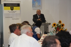 2013 August: Volksfest in Straubing