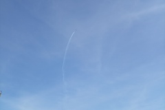 008